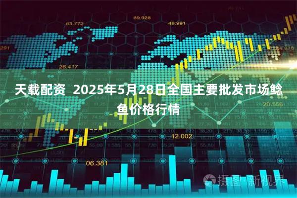 天载配资  2025年5月28日全国主要批发市场鲶鱼价格行情
