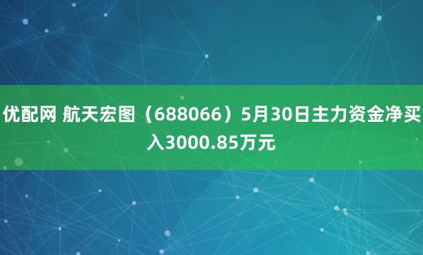 优配网 航天宏图（688066）5月30日主力资金净买入3000.85万元