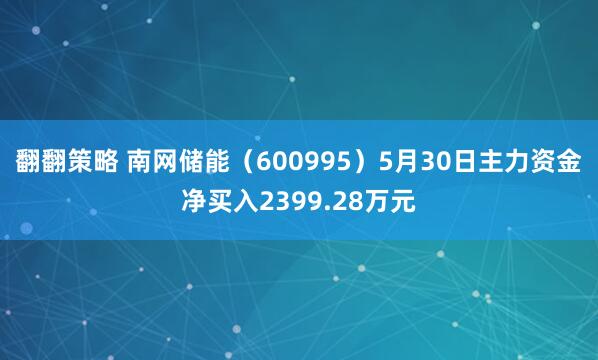 翻翻策略 南网储能（600995）5月30日主力资金净买入2399.28万元