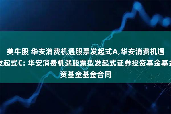 美牛股 华安消费机遇股票发起式A,华安消费机遇股票发起式C: 华安消费机遇股票型发起式证券投资基金基金合同
