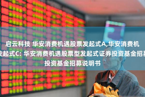 启云科技 华安消费机遇股票发起式A,华安消费机遇股票发起式C: 华安消费机遇股票型发起式证券投资基金招募说明书