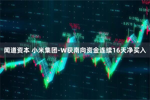 闻道资本 小米集团-W获南向资金连续16天净买入